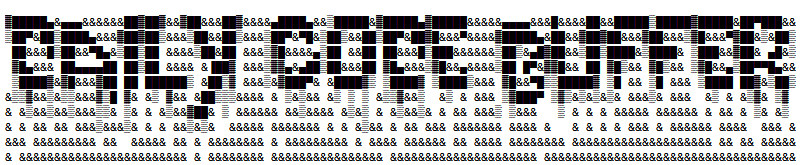 Daily Code Buffer Banner