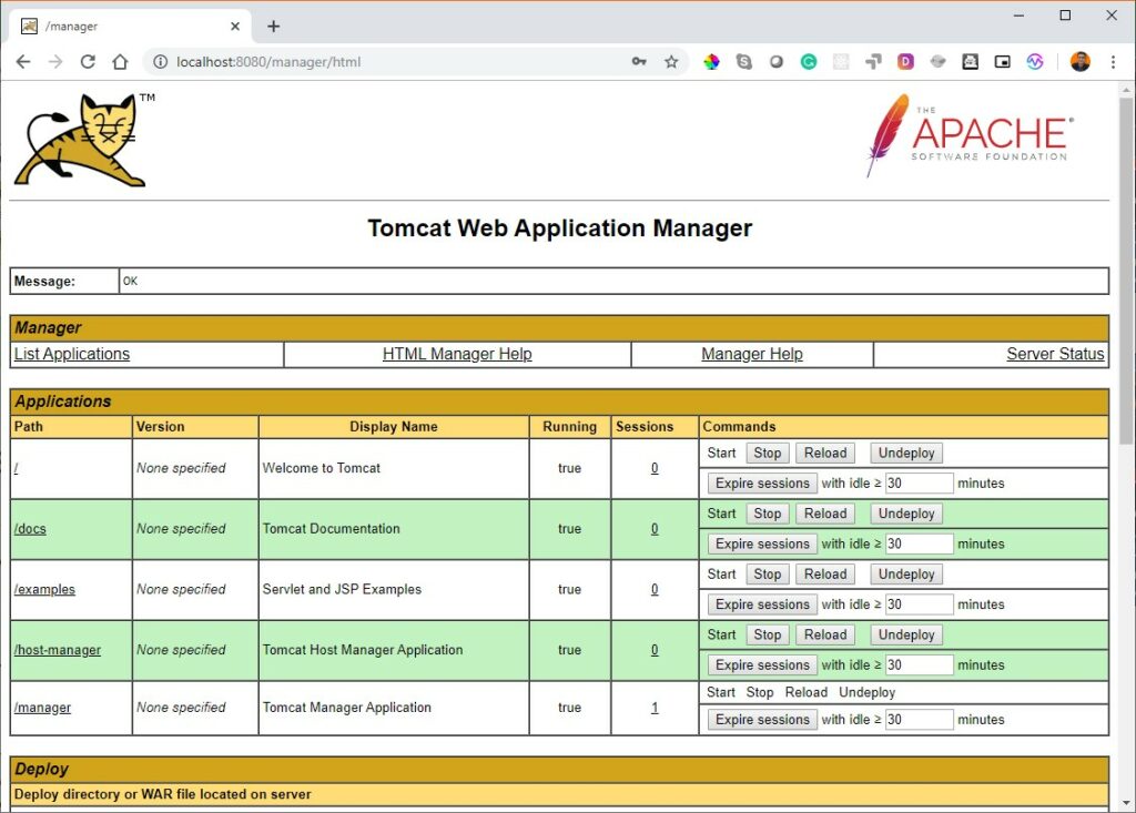 Tomcat Web Application Manager